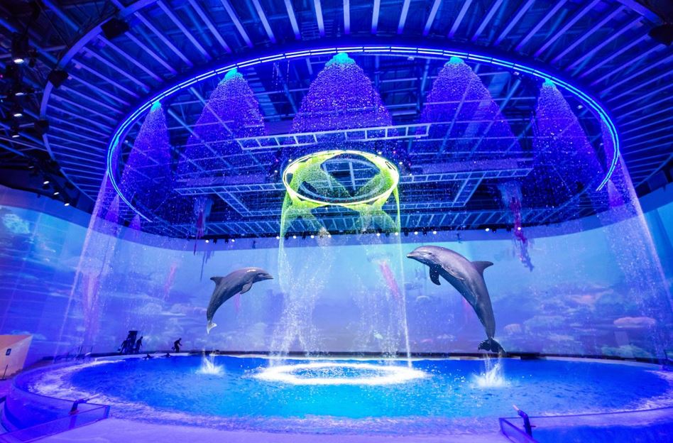 沪上首座深海美人鱼餐厅正式开业,上海海昌海洋公园系列新春活动带来年味十足的海洋体验